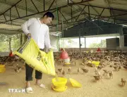 Phú Thọ tạo sinh kế bền vững, nâng cao thu nhập cho đồng bào dân tộc thiểu số