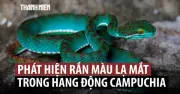 Phát hiện nhiều loài mới trong hang động cổ xưa tại Campuchia