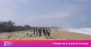 Quảng Ngãi: Hai thi thể nam giới phân hủy nặng trôi dạt vào bờ biển
