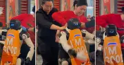 Robot 'nổi loạn' đập phá nhà hàng Mỹ, nhân viên vất vả khống chế giữa đám đông hoảng loạn