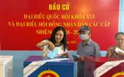 Sao Việt Đồng Loạt Khoe Ảnh Đi Bầu Cử, Lan Tỏa Tinh Thần Ngày Hội Non Sông