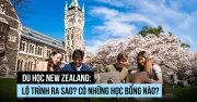 Sinh viên Việt đổ bộ New Zealand: Visa nhanh, việc làm rộng mở, trải nghiệm tuyệt vời