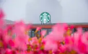 Starbucks Fansipan: Quán Cà Phê Cao Nhất Châu Á Tại Sapa