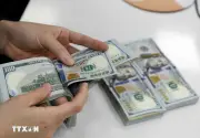 Tỷ giá ngày 4/3: Đồng USD tiếp tục tăng mạnh, Ngân hàng Nhà nước điều chỉnh