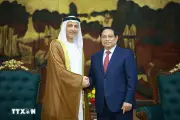 Thủ tướng đề nghị hiện thực hóa kết quả điện đàm với Tổng thống UAE
