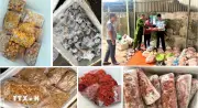 Thanh Hóa phát hiện và thu giữ 4 tấn thực phẩm không rõ nguồn gốc xuất xứ