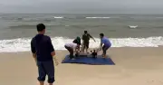 Thi thể nam giới trôi dạt vào bờ biển Quảng Trị, nghi là nạn nhân mất tích khi tắm biển