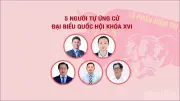 Thông tin chi tiết về 499 ứng viên đại biểu Quốc hội khóa XVI