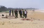 Tìm thấy thi thể hai ngư dân mất tích sau vụ tàu cá mất liên lạc trên biển