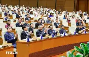 Tổng Bí thư Tô Lâm dự hội nghị toàn quốc tổng kết công tác bầu cử