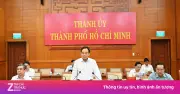 TP.HCM Hoàn Thành Phát Thẻ Cử Tri Chậm Nhất Ngày 10/3, Đảm Bảo Bầu Cử Dân Chủ