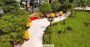 TPHCM yêu cầu duy trì mỹ quan 11 khu đất trống đã chỉnh trang thành công viên tạm phục vụ Tết 2026