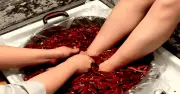 Trải Nghiệm 'Ngâm Chân Nồi Lẩu' Độc Đáo Ở Trùng Khánh: Từ Sợ Hãi Đến Thư Giãn Tuyệt Đỉnh