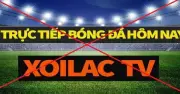 Triệt phá đường dây tội phạm Xôi Lạc TV: 30 bị can bị khởi tố vì xâm phạm bản quyền và đánh bạc