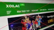 Triệt phá đường dây tội phạm 'Xôi Lạc TV' vi phạm bản quyền và tổ chức đánh bạc