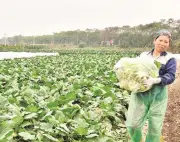 Vẻ đẹp người phụ nữ Việt trong lao động: Thầm lặng mà phi thường