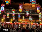 Vẻ đẹp rực rỡ của Lễ hội đèn lồng Tết Nguyên Tiêu tại Hồng Kông