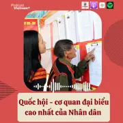 Vai trò trọng yếu của Quốc hội Việt Nam trước thềm bầu cử 2026