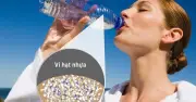 Vi nhựa âm thầm xâm nhập cơ thể: 7 cách đơn giản giảm phơi nhiễm mỗi ngày