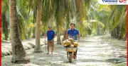 Vietcoco: Thương hiệu tiên phong đưa nông sản Việt vươn tầm quốc tế từ Bến Tre
