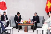 Việt Nam và Nhật Bản mở rộng hợp tác trên nhiều lĩnh vực chiến lược