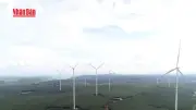 Việt Nam đẩy mạnh năng lượng tái tạo hướng tới mục tiêu phát thải ròng bằng 0