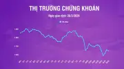 VN-Index Giảm Mạnh Xuống 1.644,63 Điểm, Rơi Khỏi Vùng Giá Trung Bình 200 Phiên
