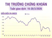 VN-Index Tuần 16/203 Đóng Cửa Giảm Mạnh 51.32 Điểm, Xuống Mức 1,647.81 Điểm