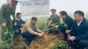 Xã Lũng Cú được hỗ trợ cây giống để phát triển du lịch xanh và cảnh quan