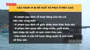 Đề Xuất Phạt 1 Tỷ Đồng Cho Hành Vi Vi Phạm Trong Ngành Thủy Sản