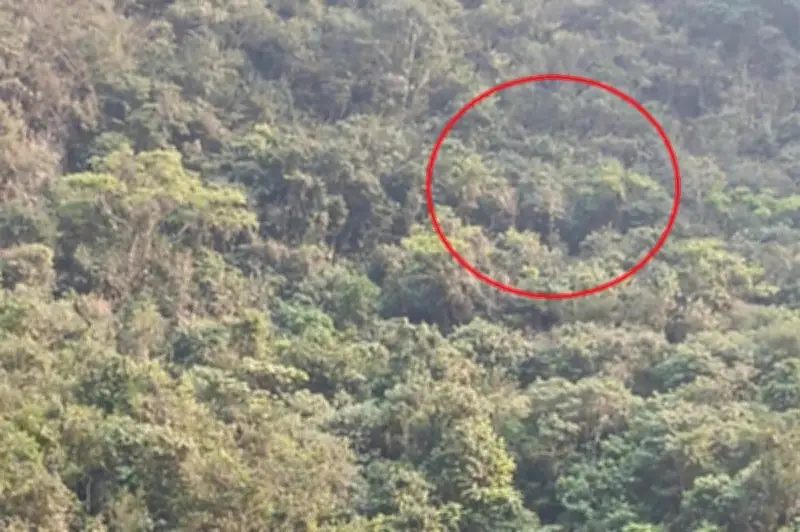 Tìm thấy thi thể thợ điêu khắc lăng mộ tại nơi địa hình dốc đứng hiểm trở