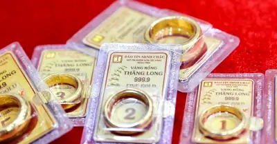 Ai là người thầy hướng dẫn ông Vũ Minh Châu làm đại diện pháp lý cho Báo Tin Minh Châu?