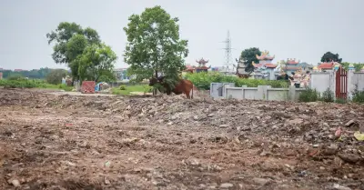 Bãi rác tự phát 20 năm sát nghĩa trang ở Ninh Bình đã được dọn dẹp