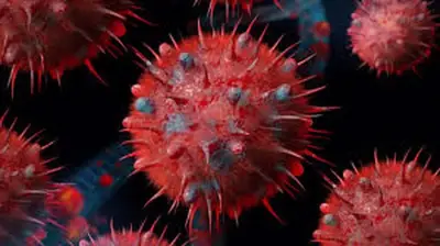 Biến Thể Cúm Super K Lây Lan Nhanh, Australia Đối Mặt Nguy Cơ Bùng Dịch