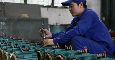 BTH Báo Lỗ Nặng Năm 2025: Doanh Thu Sụt 85%, Cổ Tức Vẫn Cao Ngất 250%