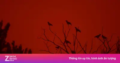 Bầu trời Hy Lạp chuyển đỏ sẫm 'như tận thế' trước lễ Phục sinh do bụi Sahara