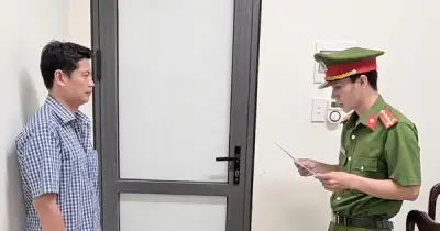 Cà Mau khởi tố chủ lò mổ xuất khống hóa đơn gia công heo cho C.P