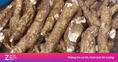 Củ sắn dây - 'Nhân sâm trắng' của Việt Nam với 7 lợi ích vàng cho sức khỏe toàn diện