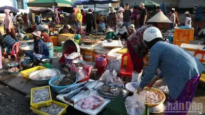 Chợ Nại - Nhịp Sống Mưu Sinh Và Hương Vị Biển Cả Trăm Năm