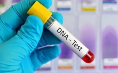 Chồng mất chưa qua 49 ngày, người phụ nữ ôm con đến nhận cha khiến tôi sụp đổ