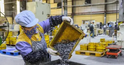 Chính sách thuế mới cho hộ kinh doanh: Ngưỡng miễn thuế và phương pháp nộp chi tiết