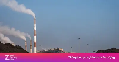 Châu Á Quay Lại Với Than Đá Do Thiếu Hụt LNG, Đe Dọa Mục Tiêu Chuyển Đổi Xanh