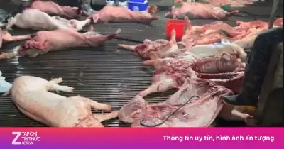 Công an Hà Nội truy xuất 300 tấn lợn bệnh vào bếp ăn tập thể, khởi tố 8 bị can