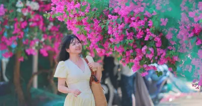 Con đường hoa giấy hơn 300m ở Nha Trang hút giới trẻ check-in