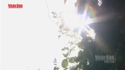 Dự báo nắng nóng gay gắt diện rộng trong tháng 5, nhiệt độ có thể vượt 40 độ C