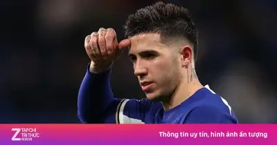 Enzo Fernandez Đối Diện Nguy Cơ Rời Chelsea Sau Án Kỷ Luật Và Bế Tắc Hợp Đồng