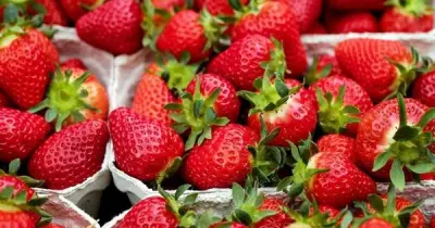 EWG Công Bố Danh Sách Rau Quả Nhiễm Thuốc Trừ Sâu Cao Nhất Năm 2026