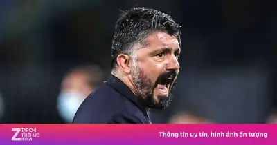 Gattuso từ chức, Conte và Allegri tranh ghế HLV tuyển Italy sau thất bại World Cup