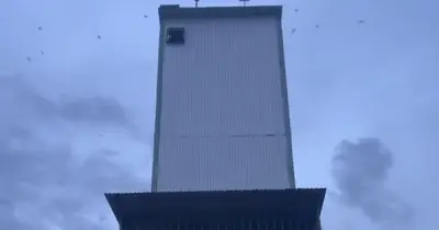 Gia Lai: Cơn sốt nhà yến hạ nhiệt, nhiều nhà đầu tư lao đao vì sản lượng sụt giảm