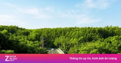 Giải Chạy Xuyên Rừng - Chạm Biển Cần Giờ Bán Hết Vé Chỉ Sau 12 Ngày Mở Bán